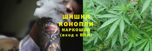 mix Надым