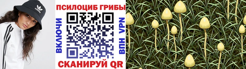 мега онион  Энем  Псилоцибиновые грибы MAGIC MUSHROOMS 